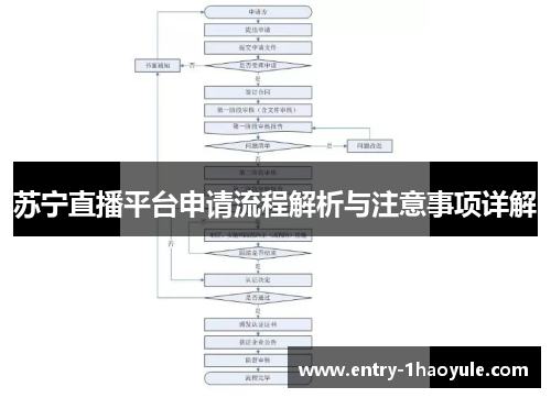苏宁直播平台申请流程解析与注意事项详解